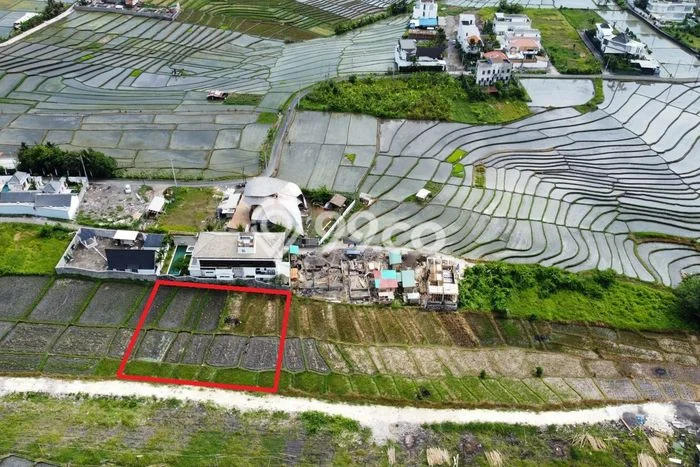 Tanah Disewa di Cemagi Strategis dan Memiliki Luas 7000m2 Tanah Disewa di Cemagi Strategis dan Memiliki Luas 7000m2