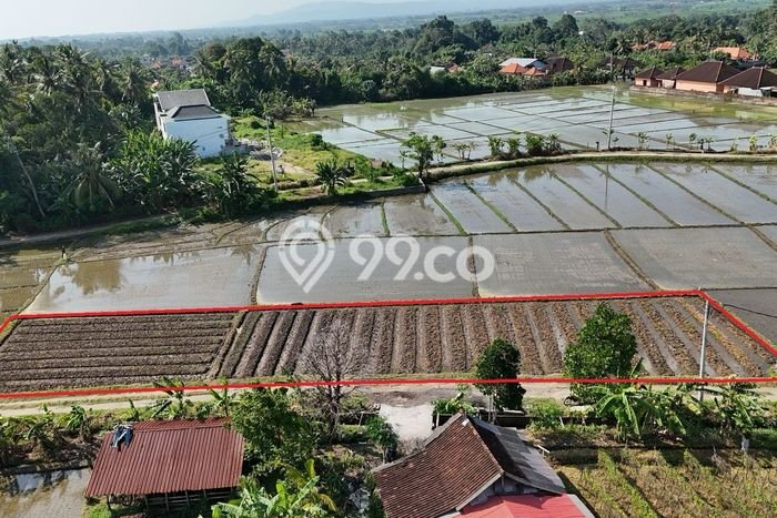 Lahan untuk Dijual di Kerambitan Tabanan Luas 900m2 Lahan untuk Dijual di Kerambitan Tabanan Luas 900m2