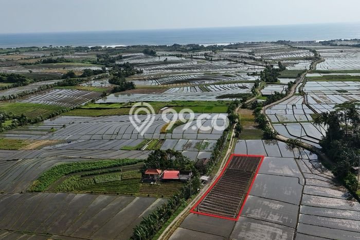 Lahan untuk Dijual di Kerambitan Tabanan Luas 900m2 Lahan untuk Dijual di Kerambitan Tabanan Luas 900m2