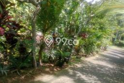 Dijual Tanah Lokasi Dalung, Badung Seluas 320m2 Dijual Tanah Lokasi Dalung, Badung Seluas 320m2