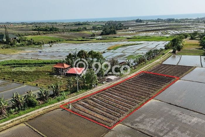 Lahan untuk Dijual di Kerambitan Tabanan Luas 900m2 Lahan untuk Dijual di Kerambitan Tabanan Luas 900m2