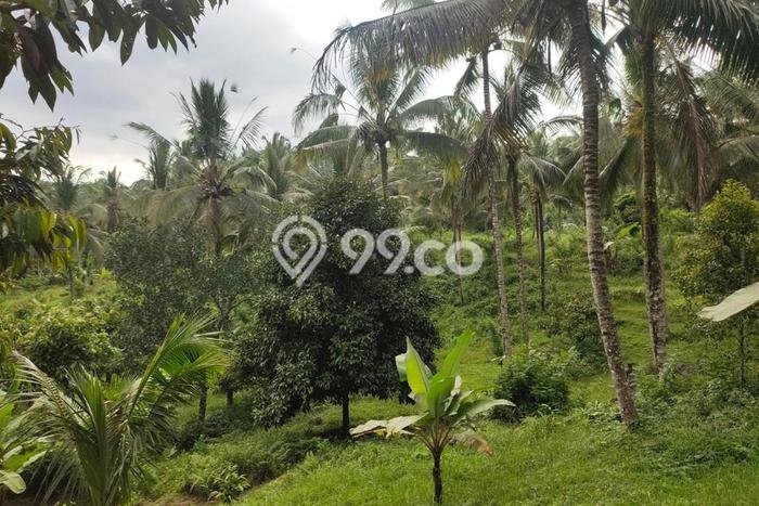 Tanah Kavling Dijual di Gadungan, Tabanan dengan Luas Tanah 13600m2 Tanah Kavling Dijual di Gadungan, Tabanan dengan Luas Tanah 13600m2