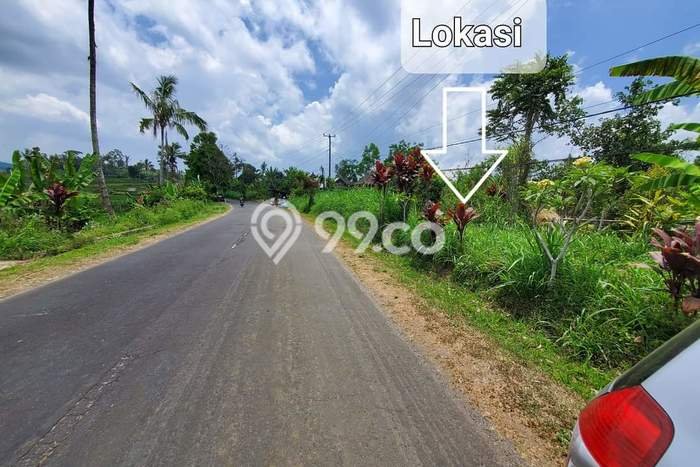 Tanah di Petang, Badung Luas 7685m2 Dijual Segera Tanah di Petang, Badung Luas 7685m2 Dijual Segera