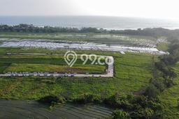 Untuk Dijual Tanah di Kerambitan Tabanan Luas 500m2 SHM Untuk Dijual Tanah di Kerambitan Tabanan Luas 500m2 SHM