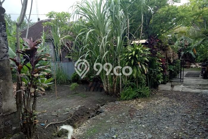 Tanah Kavling Dijual di Tabanan dengan Spesifikasi 170m2 Tanah Kavling Dijual di Tabanan dengan Spesifikasi 170m2