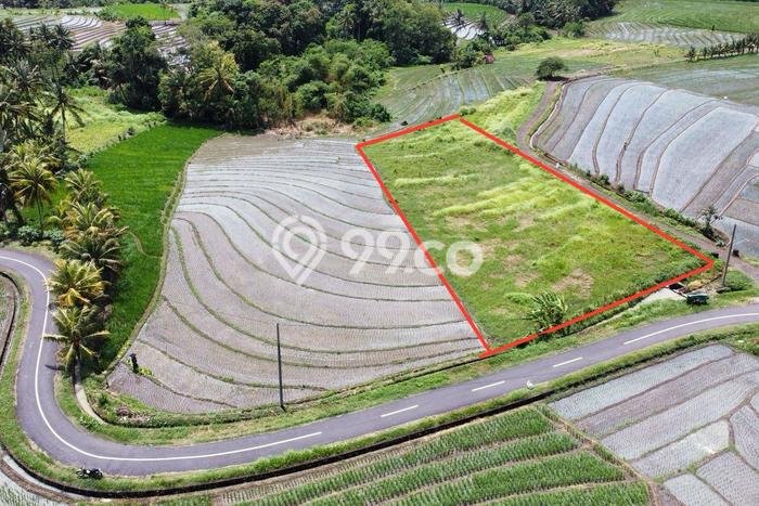 Tanah Kavling Dijual di Beraban, Tabanan dengan Luas Tanah 2330m2 Tanah Kavling Dijual di Beraban, Tabanan dengan Luas Tanah 2330m2