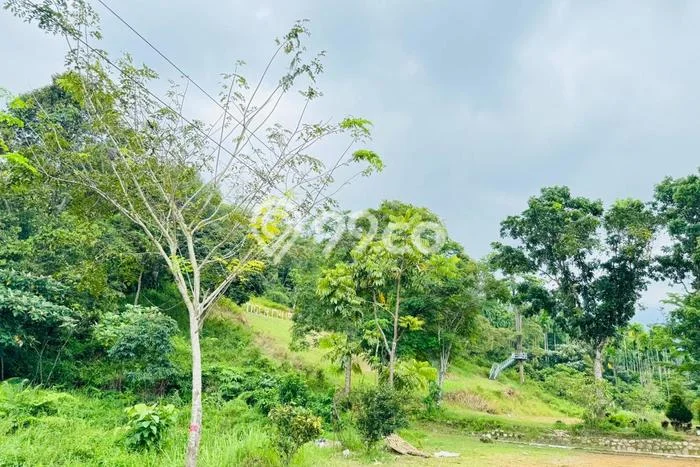 AREA PROSPEKTIF! Tanah Kawasan Padang Kota, Luas 7e+08m², Dekat Transportasi AREA PROSPEKTIF! Tanah Kawasan Padang Kota, Luas 7e+08m², Dekat Transportasi