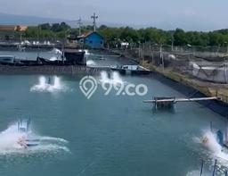Kavling Tanah Dijual di Kraksaan Probolinggo Spesifikasi 3e+07m2 Kavling Tanah Dijual di Kraksaan Probolinggo Spesifikasi 3e+07m2