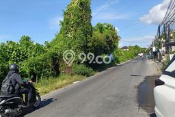 Tanah Kavling Disewakan di Sanur dengan Luas 11500m2 Tanah Kavling Disewakan di Sanur dengan Luas 11500m2