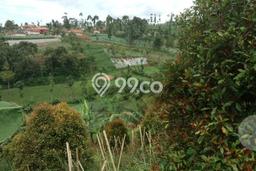 Tanah Dijual Lokasi Cisarua, Bandung Barat Luas 4500m2 Legalitas Aman Tanah Dijual Lokasi Cisarua, Bandung Barat Luas 4500m2 Legalitas Aman