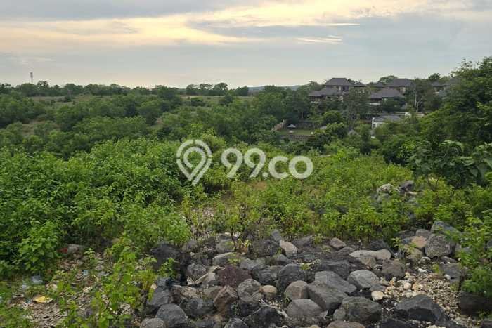 Dijual Tanah Lokasi Ungasan, Badung Seluas 1000m2 Dijual Tanah Lokasi Ungasan, Badung Seluas 1000m2