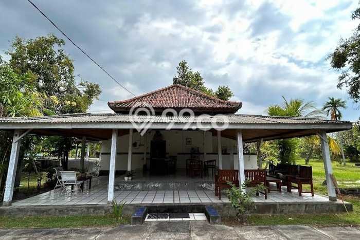 Jual Tanah Area Berkembang di Buleleng, Luas 3780m², Dekat Buleleng, Buleleng, Buleleng Jual Tanah Area Berkembang di Buleleng, Luas 3780m², Dekat Buleleng, Buleleng, Buleleng