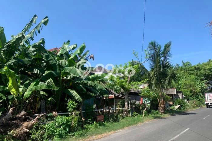 Tanah Komersial Disewakan di Kuta Badung Seluas 2720m2 Tanah Komersial Disewakan di Kuta Badung Seluas 2720m2