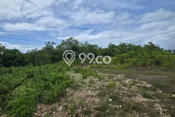 Dijual Tanah Lokasi Pecatu, Badung Seluas 16640m2 Dijual Tanah Lokasi Pecatu, Badung Seluas 16640m2