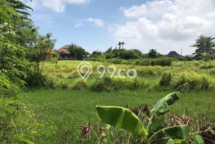 Lahan untuk Dijual Lokasi Umalas, Badung Luas 2100m2 SHM Lahan untuk Dijual Lokasi Umalas, Badung Luas 2100m2 SHM