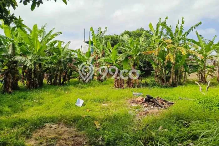 Tanah Dijual di Badung Seluas 2536m2 Strategis Tanah Dijual di Badung Seluas 2536m2 Strategis