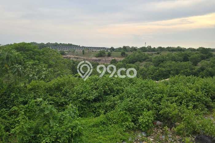 Dijual Tanah Lokasi Ungasan, Badung Seluas 1000m2 Dijual Tanah Lokasi Ungasan, Badung Seluas 1000m2
