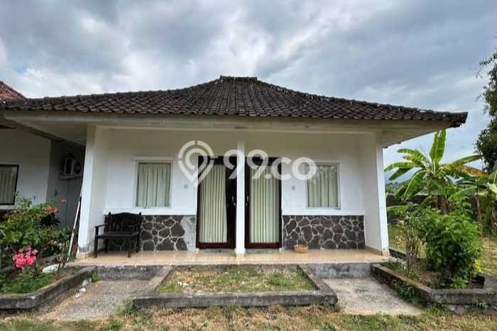 Jual Tanah Area Berkembang di Buleleng, Luas 3780m², Dekat Buleleng, Buleleng, Buleleng Jual Tanah Area Berkembang di Buleleng, Luas 3780m², Dekat Buleleng, Buleleng, Buleleng