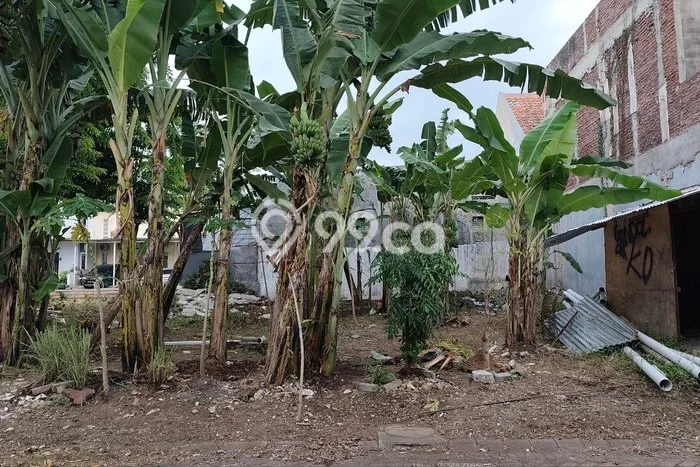 Jarang Ada! Tanah Kavling Disewakan di Surabaya 200m2 Jarang Ada! Tanah Kavling Disewakan di Surabaya 200m2