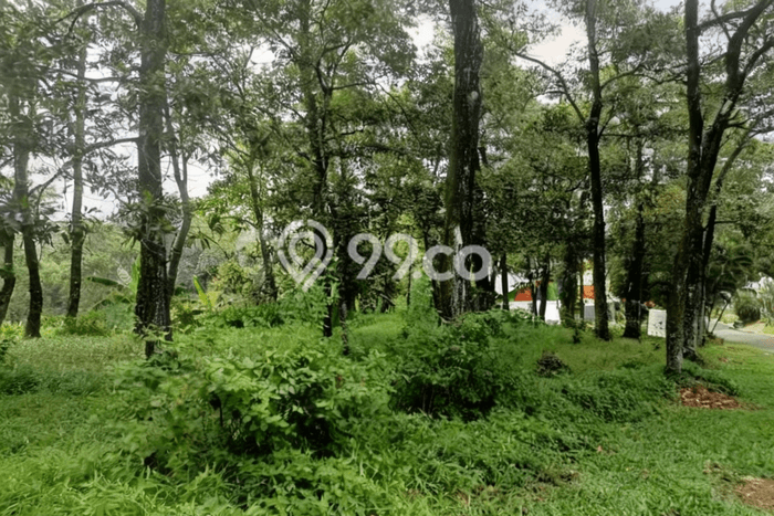 Tanah Dijual di Bogor Seluas 507m2 Strategis Tanah Dijual di Bogor Seluas 507m2 Strategis