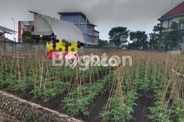 Dijual Tanah di Batu Batu Luas 2505m2 SHM Dijual Tanah di Batu Batu Luas 2505m2 SHM