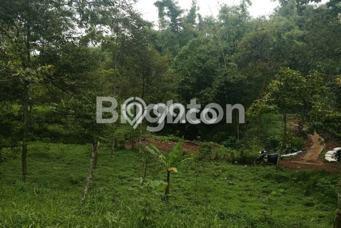 Lahan untuk Dijual Lokasi Tutur, Pasuruan Luas 3432m2 SHM Lahan untuk Dijual Lokasi Tutur, Pasuruan Luas 3432m2 SHM