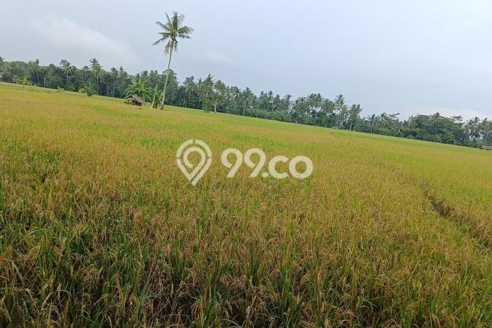 Tanah Area Berkembang di Tanjung Lesung, Luas 6590m², Dekat ke Pusat Kota Tanah Area Berkembang di Tanjung Lesung, Luas 6590m², Dekat ke Pusat Kota