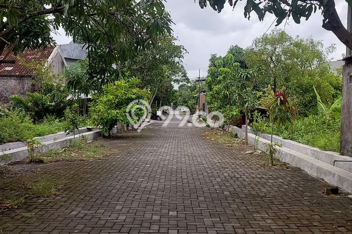 Untuk Dijual Tanah di Pedurungan Semarang Luas 300m2 SHM Untuk Dijual Tanah di Pedurungan Semarang Luas 300m2 SHM