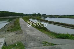 Dijual Tanah Lokasi Karangtengah, Demak Seluas 38909m2 Dijual Tanah Lokasi Karangtengah, Demak Seluas 38909m2