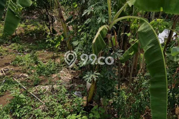 Tanah untuk Dijual Lokasi Gajah Mungkur, Semarang Luas 288m2 SHM Tanah untuk Dijual Lokasi Gajah Mungkur, Semarang Luas 288m2 SHM