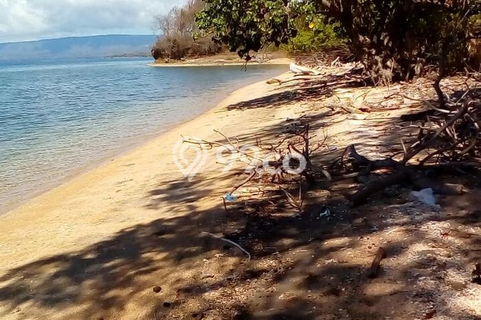 Tanah di Sumbawa, Sumbawa Luas 12500m2 Dijual Segera Tanah di Sumbawa, Sumbawa Luas 12500m2 Dijual Segera