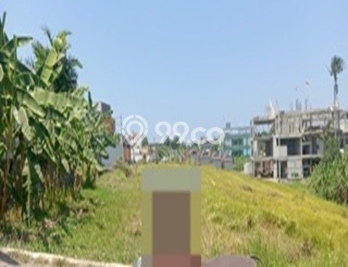 Tanah Kavling Disewakan di Pererenan dengan Luas 300m2 Tanah Kavling Disewakan di Pererenan dengan Luas 300m2