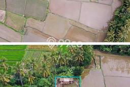Tanah di Gianyar, Gianyar Luas 356m2 Dijual Segera Tanah di Gianyar, Gianyar Luas 356m2 Dijual Segera