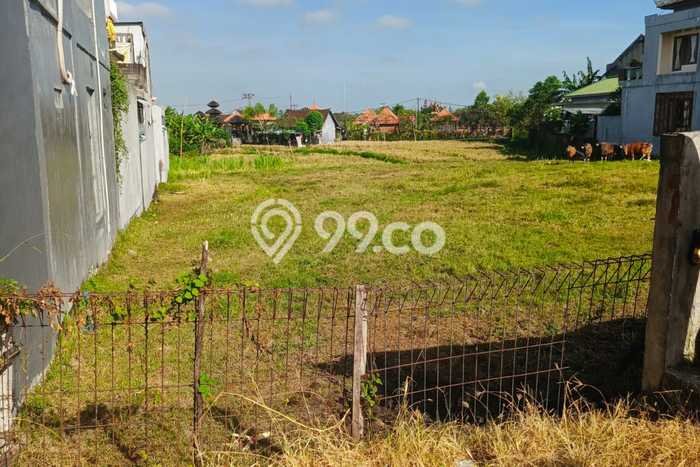 Kavling Tanah untuk Disewa di Tibubeneng Lahan Luas 1500m2 Kavling Tanah untuk Disewa di Tibubeneng Lahan Luas 1500m2