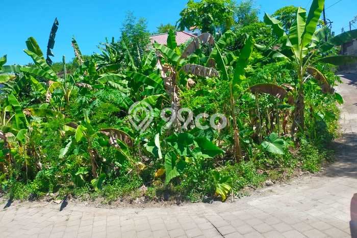 Tanah Kavling Disewakan di Ungasan dengan Luas 200m2 Tanah Kavling Disewakan di Ungasan dengan Luas 200m2