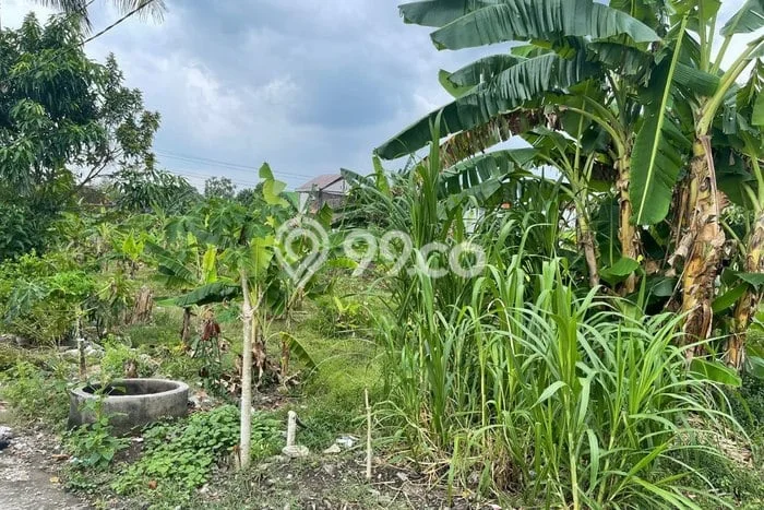 Tanah Area Berkembang di Andong, Luas 4781m², Ideal untuk Bisnis Tanah Area Berkembang di Andong, Luas 4781m², Ideal untuk Bisnis