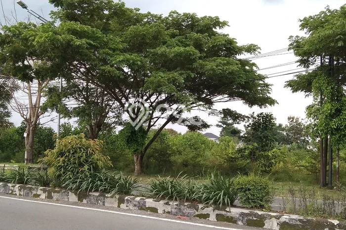 Untuk Dijual Tanah di Tasikmadu Karanganyar Luas 7986m2 SHM Untuk Dijual Tanah di Tasikmadu Karanganyar Luas 7986m2 SHM