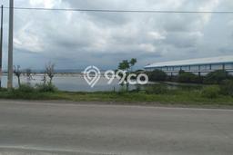 Lahan untuk Dijual di Kaliwungu Kendal Luas 26896m2 Lahan untuk Dijual di Kaliwungu Kendal Luas 26896m2