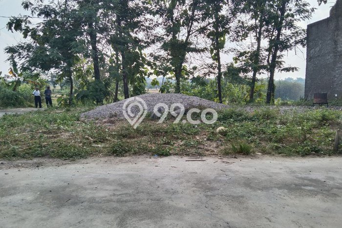 Jarang Ada! Tanah di Gondangrejo Punya Luas 60m2 SHM Jarang Ada! Tanah di Gondangrejo Punya Luas 60m2 SHM