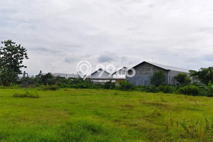 Dijual Tanah di Kalijambe Sragen Luas 8191m2 SHM Dijual Tanah di Kalijambe Sragen Luas 8191m2 SHM