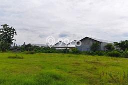 Dijual Tanah di Kalijambe Sragen Luas 8191m2 SHM Dijual Tanah di Kalijambe Sragen Luas 8191m2 SHM