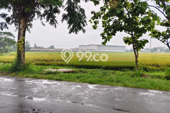 Tanah Kavling di Tasikmadu Dijual dengan Luas 8480m2 Tanah Kavling di Tasikmadu Dijual dengan Luas 8480m2