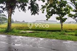 Tanah Kavling di Tasikmadu Dijual dengan Luas 8480m2 Tanah Kavling di Tasikmadu Dijual dengan Luas 8480m2