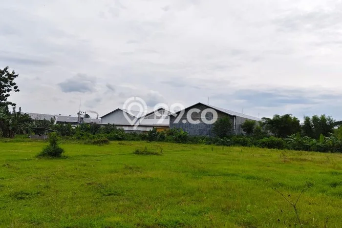 Dijual Tanah di Kalijambe Sragen Luas 8191m2 SHM Dijual Tanah di Kalijambe Sragen Luas 8191m2 SHM
