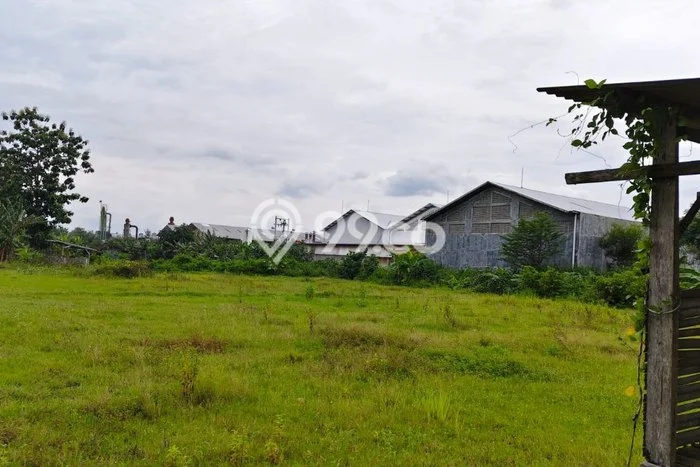 Dijual Tanah di Kalijambe Sragen Luas 8191m2 SHM Dijual Tanah di Kalijambe Sragen Luas 8191m2 SHM