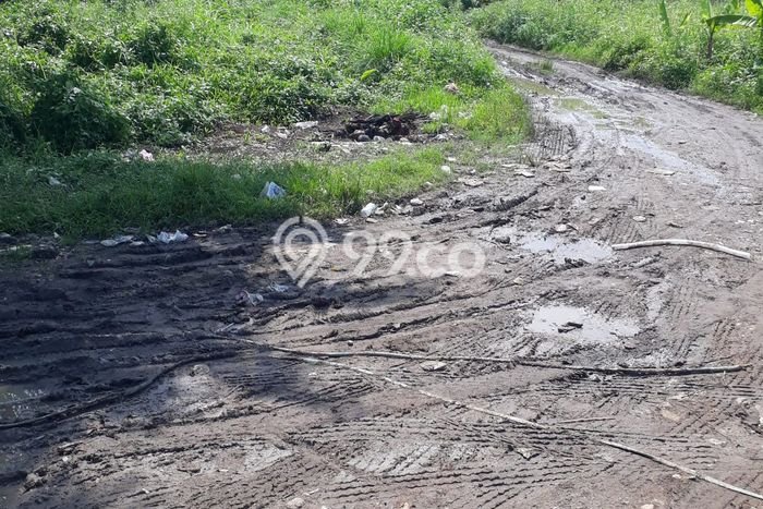 Tanah di Karawaci, Tangerang Luas 5000m2 Dijual Segera Tanah di Karawaci, Tangerang Luas 5000m2 Dijual Segera