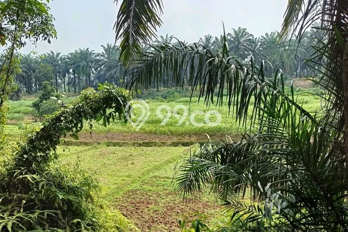 Tanah Komersial Dijual di Ranca Bungur Bogor 13000m2 Tanah Komersial Dijual di Ranca Bungur Bogor 13000m2