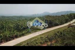 Tanah Kavling di Sajira Dijual dengan Luas 300000m2 Tanah Kavling di Sajira Dijual dengan Luas 300000m2