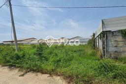 Tanah untuk Disewakan di Pakuhaji Tangerang - Tanah untuk Disewakan di Pakuhaji Tangerang -