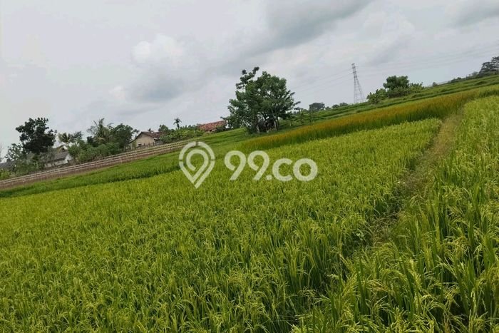 Untuk Dijual Tanah di Cikande Serang Luas 150000m2 SHM Untuk Dijual Tanah di Cikande Serang Luas 150000m2 SHM